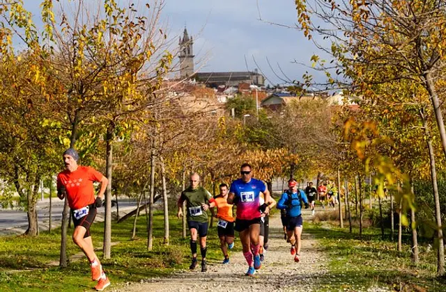 Runners on a tree-lined path with Colmenar Viejo in the background