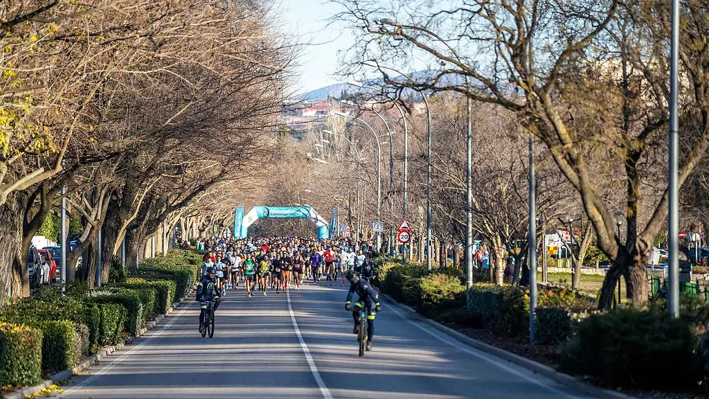 The Colmenar Viejo San Silvestre field running down a tree-lined avenue